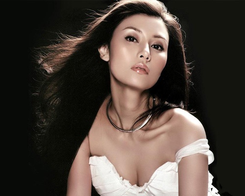 温碧霞代言彩晶小家电